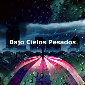Bajo Cielos Pesados - Sonidos De Lluvia