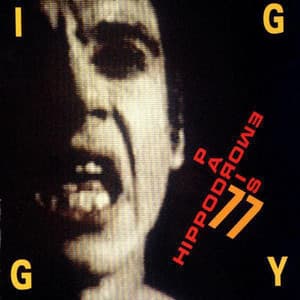 Hippodrome Paris - 1977 - Iggy Pop