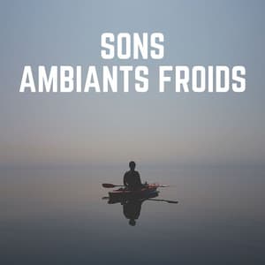 Sons Ambiants Froids - Attrape-rêves oasis