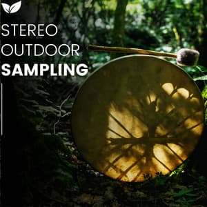 Pristine Wilderness Binaural Stereo Field Audio - rainstantly