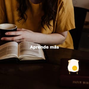 Aprende más - Brunch Musik