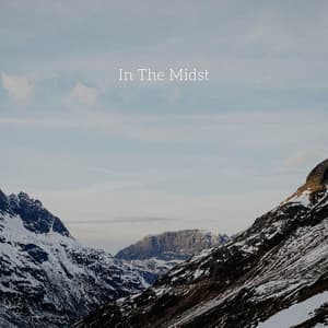In the Midst - Forest FX