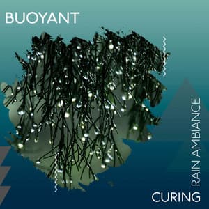 zZz Buoyant Curing Rain Ambiance zZz - The Sound Reserve