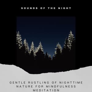 Gentle Rustling of Nighttime Nature for Mindfulness Meditation - Sounds of the Night
