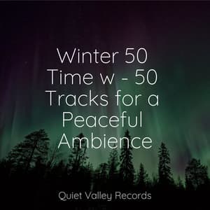 Winter 50 Time w - 50 Tracks for a Peaceful Ambience - 125 Nature Sounds