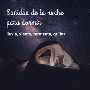 Sonidos de la noche para dormir: lluvia, viento, tormenta, grillos - Serenidad Alvez