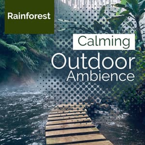 Calming Outdoor Ambience - Rainforest