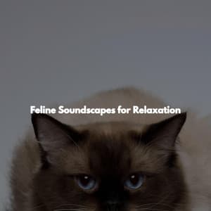 Feline Soundscapes for Relaxation - Musica para Restaurantes Ambiente