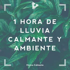 1 Hora de Lluvia Calmante y Ambiente - Lluvia PQ