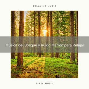 Música del Bosque y Ruido Marrón para Relajar - Ruido Blanco