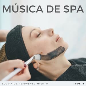 Música De Spa: Lluvia De Rejuvenecimiento Vol. 1 - Sonidos de Lluvia 24H