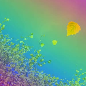 Music for Round Mirrors - Cigar Bar Background Music