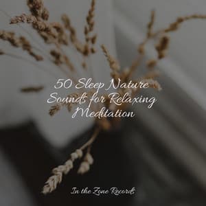 50 Sleep Nature Sounds for Relaxing Meditation - Dog Music