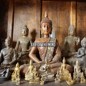 66 For The Mind - Yoga Music