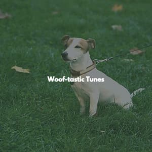 Woof-tastic Tunes - Klassischer Jazz