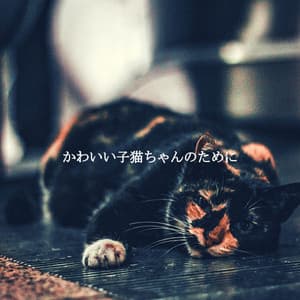 かわいい子猫ちゃんのために - Coffee Lounge Jazz Lounge