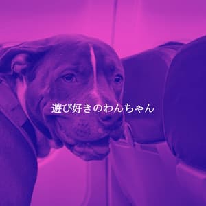 遊び好きのわんちゃん - Upbeat Morning Music