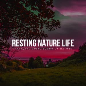 Resting Nature Life - Tranquil Music Sound of Nature