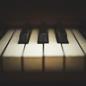 Tranquil Piano Music for Complete Body Relaxation - Piano Tranquil