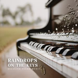 Raindrops on the Keys: Relaxing Instrumental Music - Relaxing Piano Music