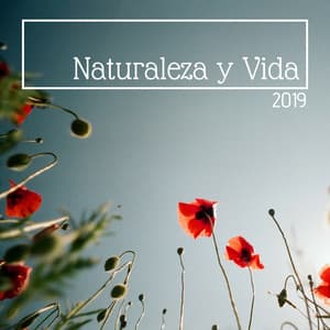 Naturaleza y Vida 2019 - Música Tranquila del Bosque Relajarse y Trabajar o Estudiar sin Estrés - Milagro de la Vida