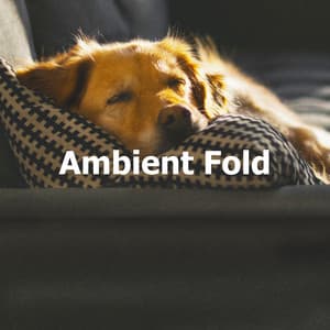 Ambient Fold - Soothing Dog Music