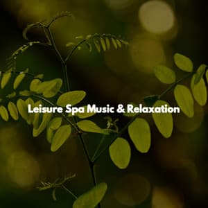 Leisure Spa Music & Relaxation - Afternoon Recharge