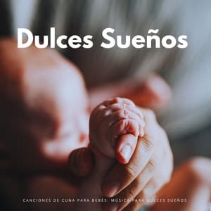 Canciones De Cuna Para Bebés: Música Para Dulces Sueños - Sueños Triplete