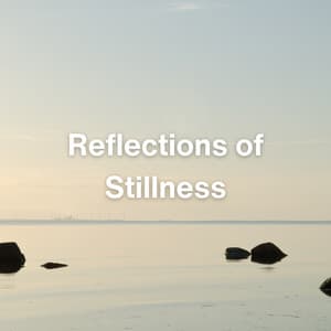 Reflections of Stillness - Oriental Meditation Music Academy