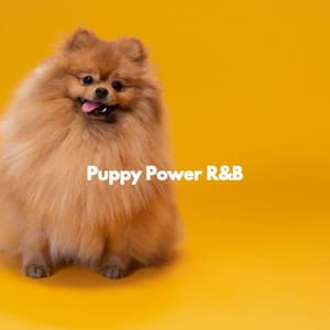 Puppy Power R&B - Instrumental Chill Out Jazz