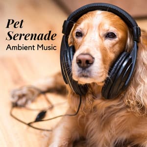Pet Serenade: Ambient Music - Pet Music