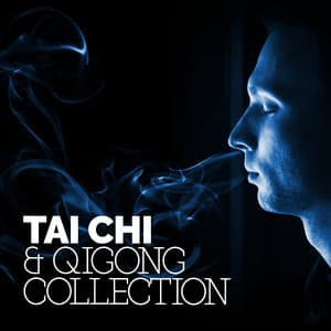 Tai Chi & Qigong Collection - Tai Chi And Qigong