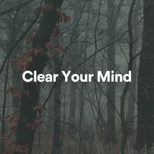 Clear Your Mind - Lullabies for Deep Meditation