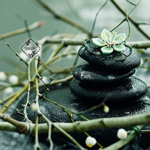 Cheminement Vers l’Essence - Ensemble de Musique Zen Relaxante