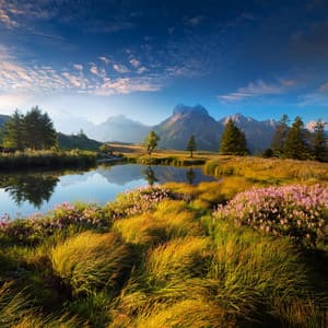 Melodías Puras: Música Para El Alma - La red acordes