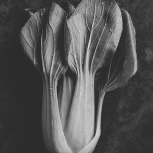 Trumpet Solo - Ambiance for Fresh Cooking at Home - Gentle Morning Music