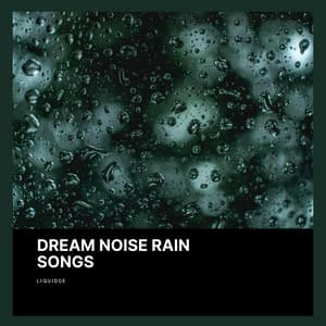 Dream Noise Rain Songs - Liquidge