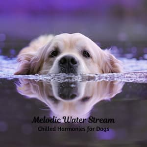 Melodic Water Stream: Chilled Harmonies for Dogs - Aquaplasma