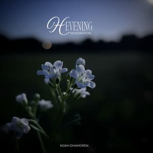 Healing Hypnagogia - Noah Dhamoren