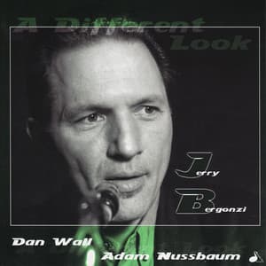 A Different Look - Jerry Bergonzi