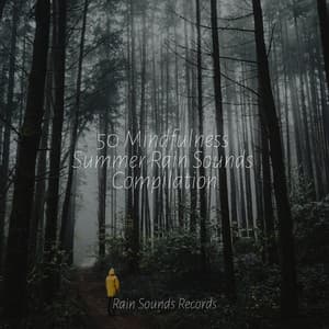 50 Mindfulness Summer Rain Sounds Compilation - Forest Sounds