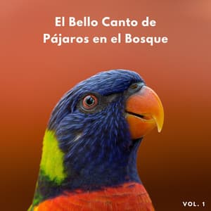 El Bello Canto De Pájaros En El Bosque Vol. 1 - Pájaros del Bosque