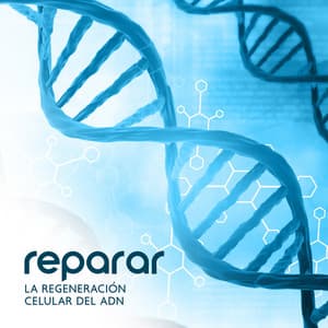 Reparar la Regeneración Celular del ADN: Meditación Profunda de los 7 Chakras - Colección de tonos Solfeggio