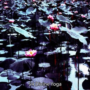 54 Divine Yoga - Nature Sounds Meditation