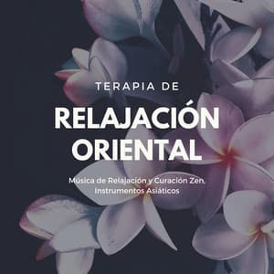 Terapia de Relajación Oriental: Música de Relajación y Curación Zen, Instrumentos Asiáticos - Sanar el Alma