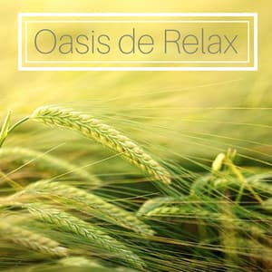 Oasis de Relax - Poder de la Mente, Canciones para Aumentar la Inteligencia y Desestresar - Mente Abierta
