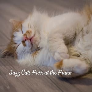Jazz Cats Purr at the Piano - Italian Instrumental Jazz