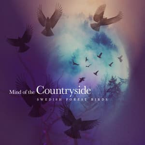 Mind of the Countryside - Swedish Forest Birds