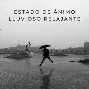 Estado De Ánimo Lluvioso Relajante - HD lluvia y agua