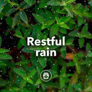 Restful Rain - Heavy Rain Sounds